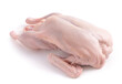 Raw and uncooked whole duck isolated on white background