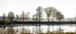 panorama drzewa nad wodą jeziorem