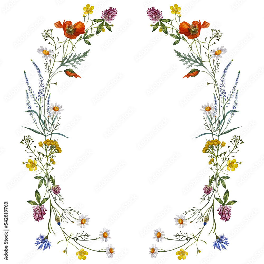 Sparklebox Flower Border [2026]