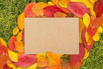 Sticker - Beautiful nature composition with dry leaves and card