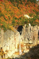 Wall Mural - waterfall in autumn leaves