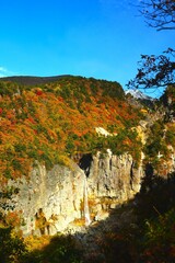 Wall Mural - waterfall in autumn leaves