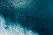 © artifirsov - Aerial view of surfers in ocean with waves at Bali island. Top view