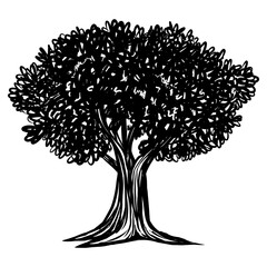 Apple Oak Tree Vintage Drawing Illustrations Art