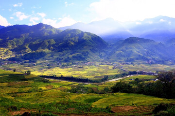 Terraced rice field at sunny day in Sapa, Vietnam. Terraced fields in the mountainous provinces in northern Vietnam will start showing gorgeous colors in September.