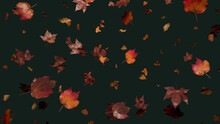 Autumn Themed Wallpaper, With Leaves Against Dark Green Color. Holiday Banner With Copy-space.