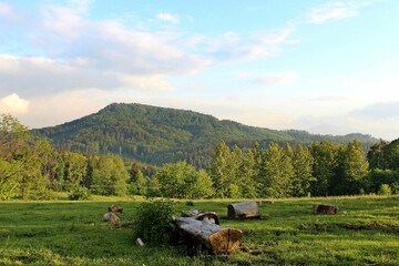 Sticker - Beautiful countryside landscape in summer