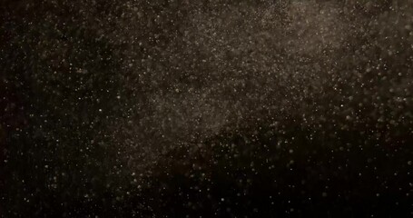Wall Mural - Warm dust Particles System in motion in black screen. Filmed with RED camera.
