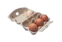 Open Egg Box With Three Brown Eggs And One White Egg Isolated. Fresh Organic Chicken Eggs In Carton Pack. Copy Space
