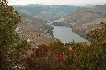 Wall Mural - view of the river from the top of the mountain