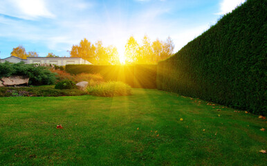 Wall Mural - Autumn garden with green grass, trees and plants