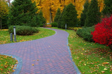 Wall Mural - Autumn park with colorful fall foliage