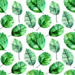 Seamless herbal pattern with green watercolor leaves.