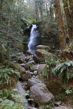 Bunch Creek Falls Quinault