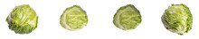 Green Cabbage Isolated. Set Of Fresh Cabbages , On Transparent White Background