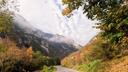 Wall Mural - Amazing view of misty mountain peaks in autumn season in the morning. Beautiful nature, fall foggy landscape. 