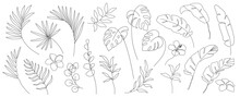 set of one line drawing modern minimalist tropical monstera eucalyptus banana exotic palm leaves branches and flowers silhouette on white background Botanical vector trendy greenery illustratrations