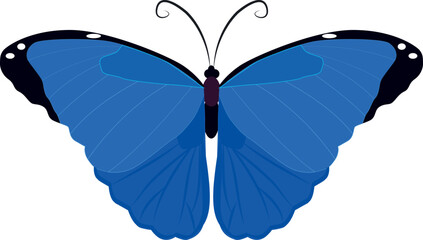 Poster - Blue butterfly icon. Night moth. Flying insect