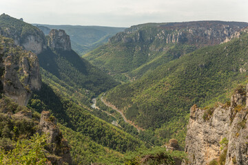 Wall Mural - Gorges of Tarn seen from hiking trail on the corniches of Causse Mejean above the Tarn Gorges.