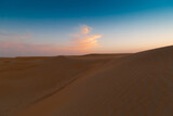 Fototapeta  - UAE. Desert  landscape