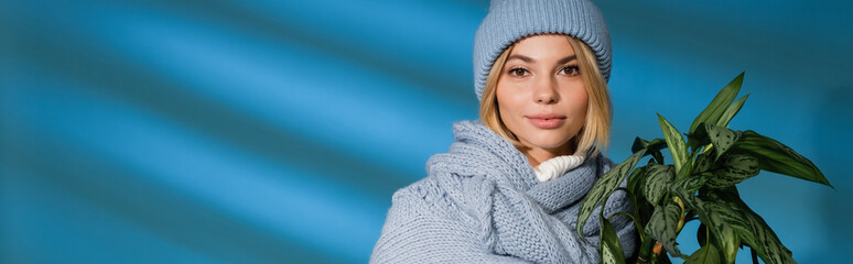 Wall Mural - young blonde woman in winter hat and sweater holding potted green plant on blue, banner.