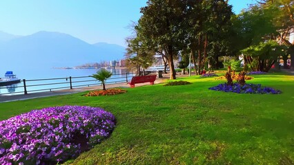 Canvas Print - Violet petunia flower beds in park on the bank of Lake Maggiore, Locarno, Switzerland