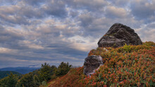 Autumn Gloomy Landscape. A Large Texture Boulder On Top Of A Mountain Among Blueberry Bushes. Blueberry Leaves Turned Red From The Night Cold