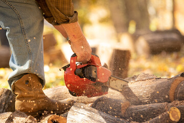 Man with chainsaw cutting up a tree