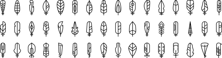 Poster - feathers icons collection vector illustration design