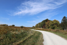 Empty Path Through Autumn Meadow