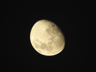moon in the night