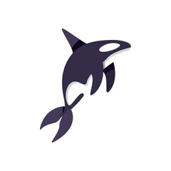 Wall Mural - flat killer whale