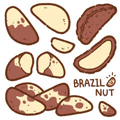 Wall Mural - brazil nut cartoon drawing set