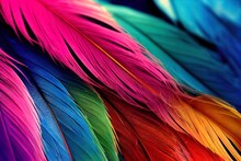  A Close Up Of A Multi Colored Feather With A Black Background And A White Border Around The Feathers And The Colors Of The Feathers.