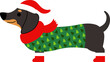 Dachshund in Christmas tree pajamas cartoon illustration