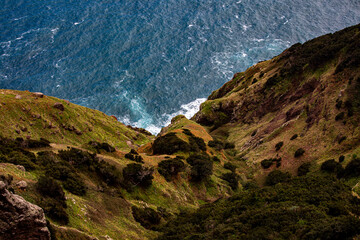 Wall Mural - Vereda do Larano hiking trail, Madeira	