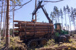 Forwarder with a load of lumber in the forest