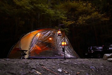 Wall Mural - camping in the night