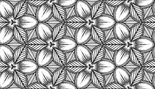 Abstract Flower Black White Seamless Pattern. Monochrome Stylized Petals And Leaves Repeating Decorative Background. Vintage Floral Texture. Ornament For Fabric Wallpaper, Wrapping Packaging Print