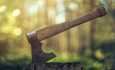 Wall Mural - A large battle axe with a wooden handle is stuck in a tree.The hatchet in the rays of the sun. Design and decoration of the ax handle.