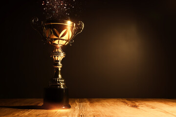 Wall Mural - image of gold trophy with sparkly overlay over dark background