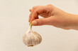 Womans hand holding a garlic clove on a white background