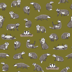 Wall Mural - Badger forest animal vector seamless pattern.