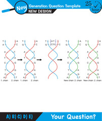 Wall Mural - Biology, DNA helix, DNA replication, next generation question template, dumb physics figures, exam question, eps