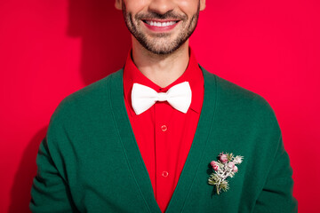 Poster - Photo of cheerful positive man wear x-mas white bowtie green cardigan smiling celebrating noel isolated red color background