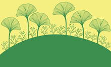 Ginkgo Leave Yellow Green Background Landscape Scenery 