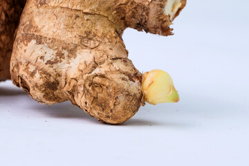 Detail of a piece of ginger herb on a white background. Seasoning with a distinctive herbal aroma