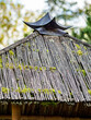 Hütte mit einem Dach aus Bambusstangen