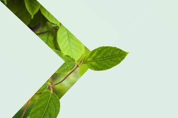 Poster - Natural green grass in a shape of arrow