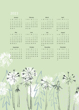Calendar Vector Template For Year 2023 With Hand Drawn Fluffy Dandelion Flowers On Light Blue Background. Modern Floral Design